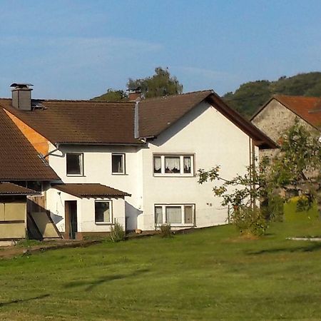 Ferienwohnung Auf Dem Pferdehof Schotten Zewnętrze zdjęcie